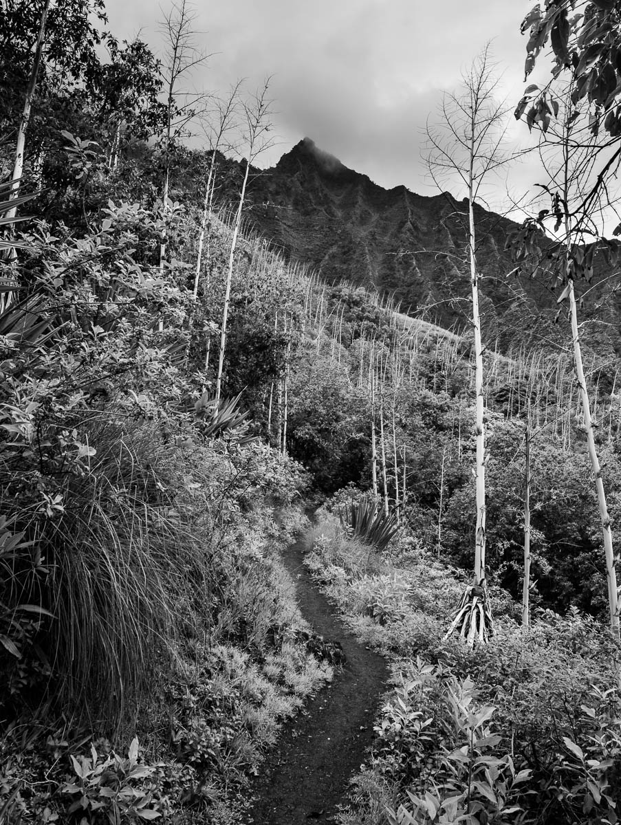 kalalau startrail kalalau startrail