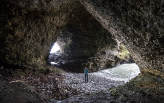 Maori Sea Cave Fox River