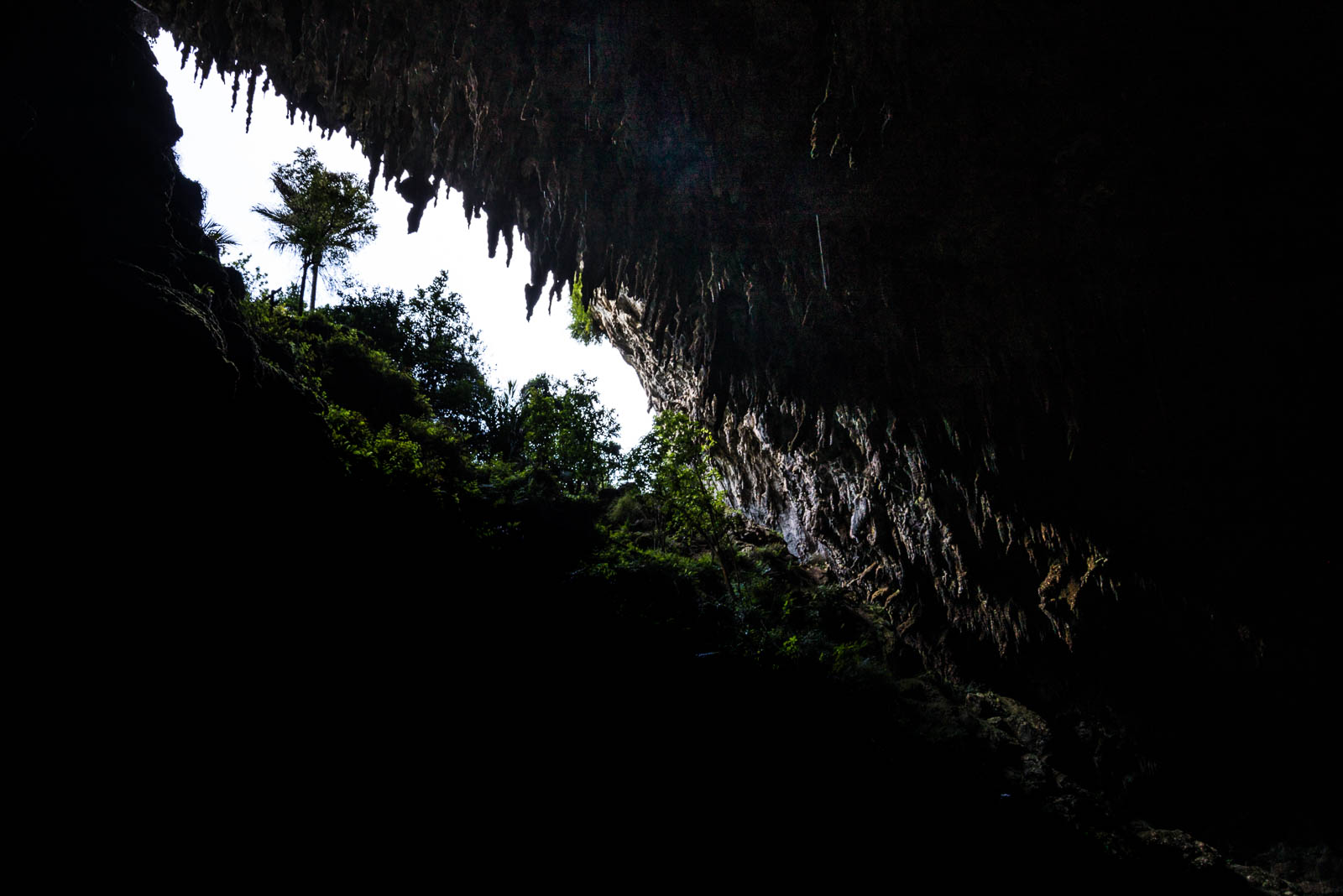 Rawhiti Cave opening inside stalactite
